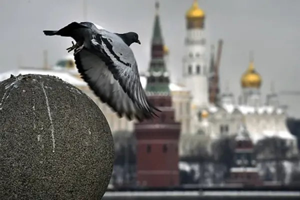 Дмитро Пєсков, Зеленський і Трамп: хто і в якій ролі висловився про мирний трек